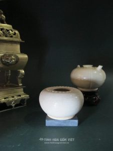 Hoa sen Việt!